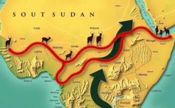 A map highlighting South Sudan with a focus on migration routes and policies.