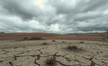 A desolate landscape symbolizing loss of hope, with muted colors and a somber atmosphere, capturing despair.