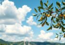 A serene landscape representing democracy and unity with symbolic olive branches and blue skies.