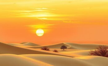 Peaceful desert landscape symbolizing ceasefire, with warmth of sunset hues, evoking hope and resolution.
