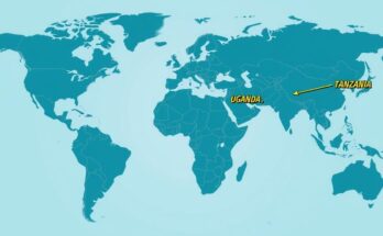 A map highlighting Uganda and Tanzania with emphasis on travel restrictions, using cool tones and a minimalist style.