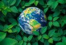 A vibrant landscape showing a globe surrounded by green leaves, symbolizing global climate action and cooperation.